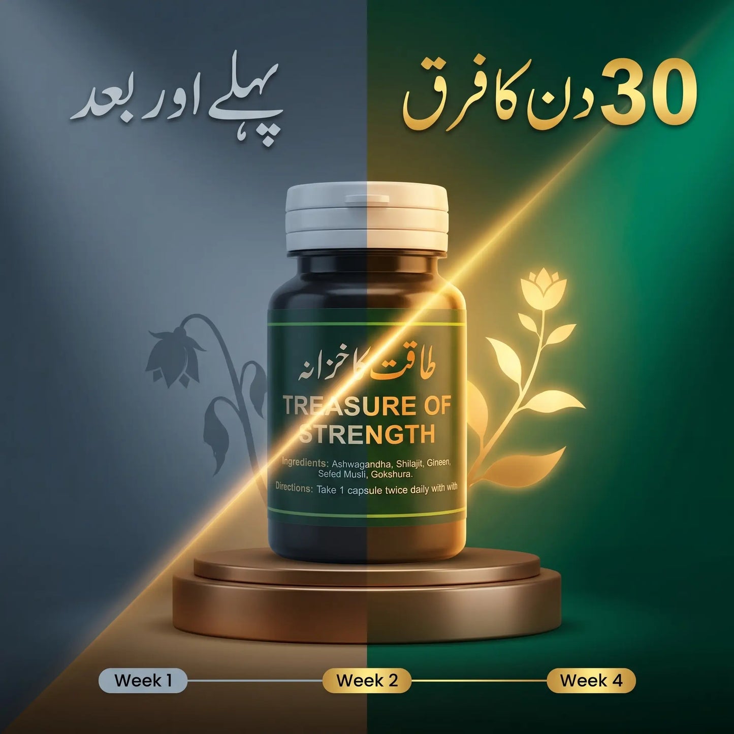 Treasure of Strength — Organic Herbal Stamina & Energy Capsules
